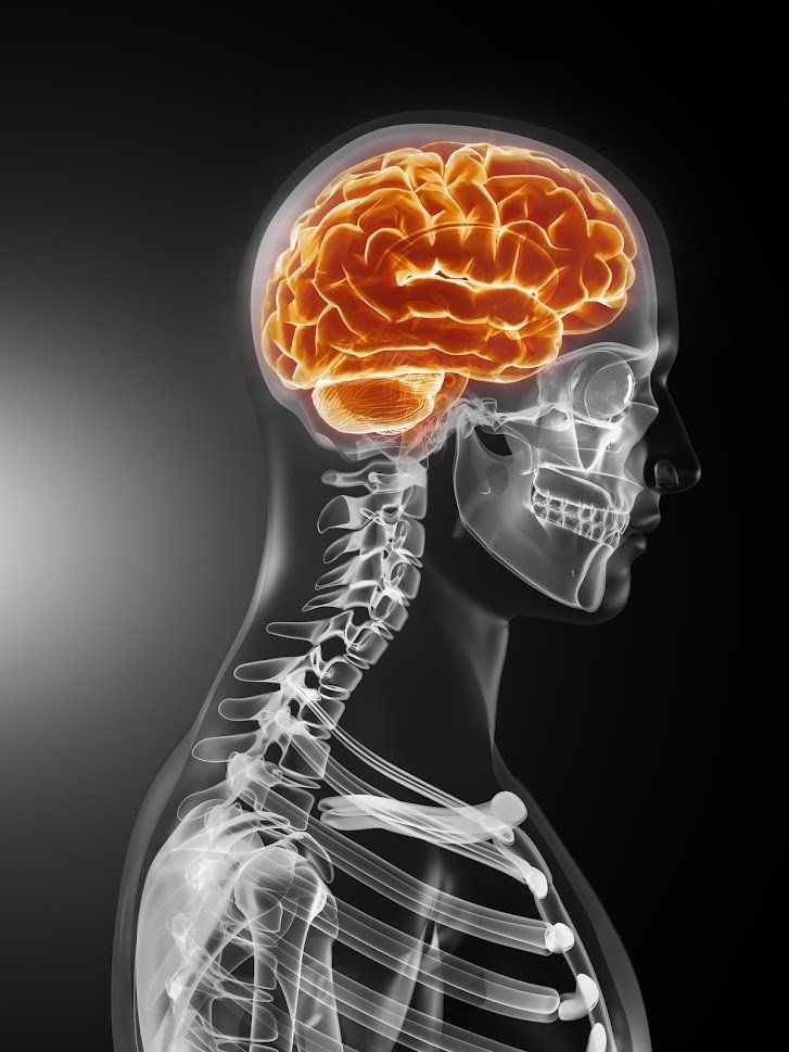 Bone X-ray — Marlton, NJ — Jarve Kaplan Granato Starr, LLC Bone X-ray — Marlton, NJ — Jarve Kaplan Granato Starr, LLC