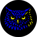 Blue and yellow stylized owl face on a black circular background