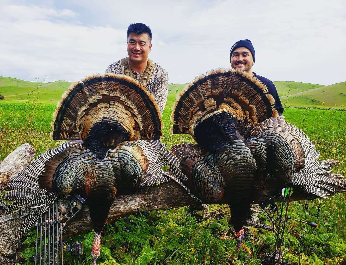 Two people posing behind large wild turkeys in a grassy field under a cloudy sky