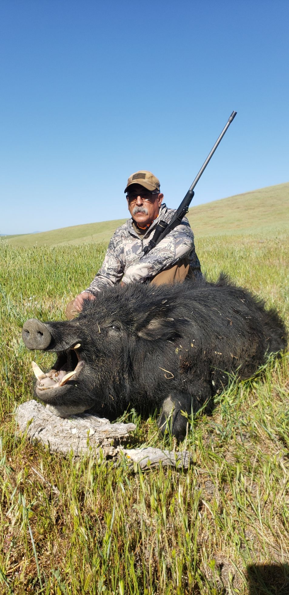 Hunter kneeling behind a large wild boar in a grassy field under a clear blue sky