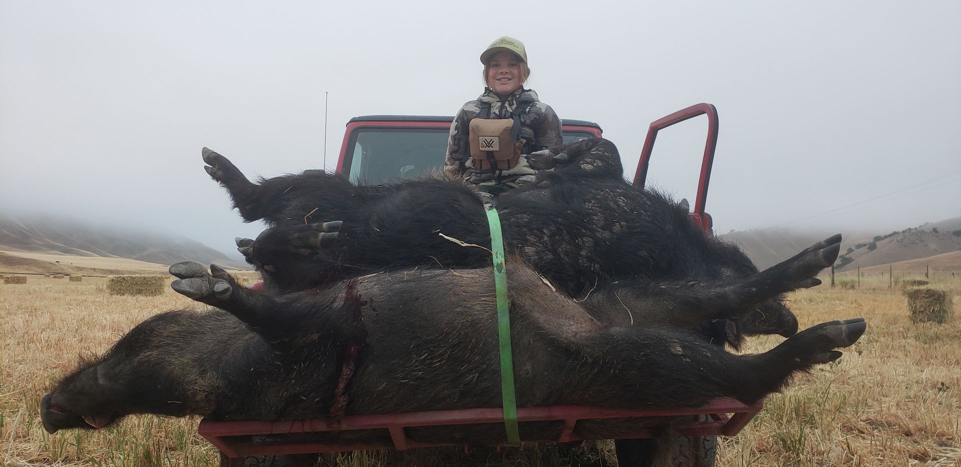 Person in camouflage sits behind a large wild boar carcass on a red truck bed in a grassy field.