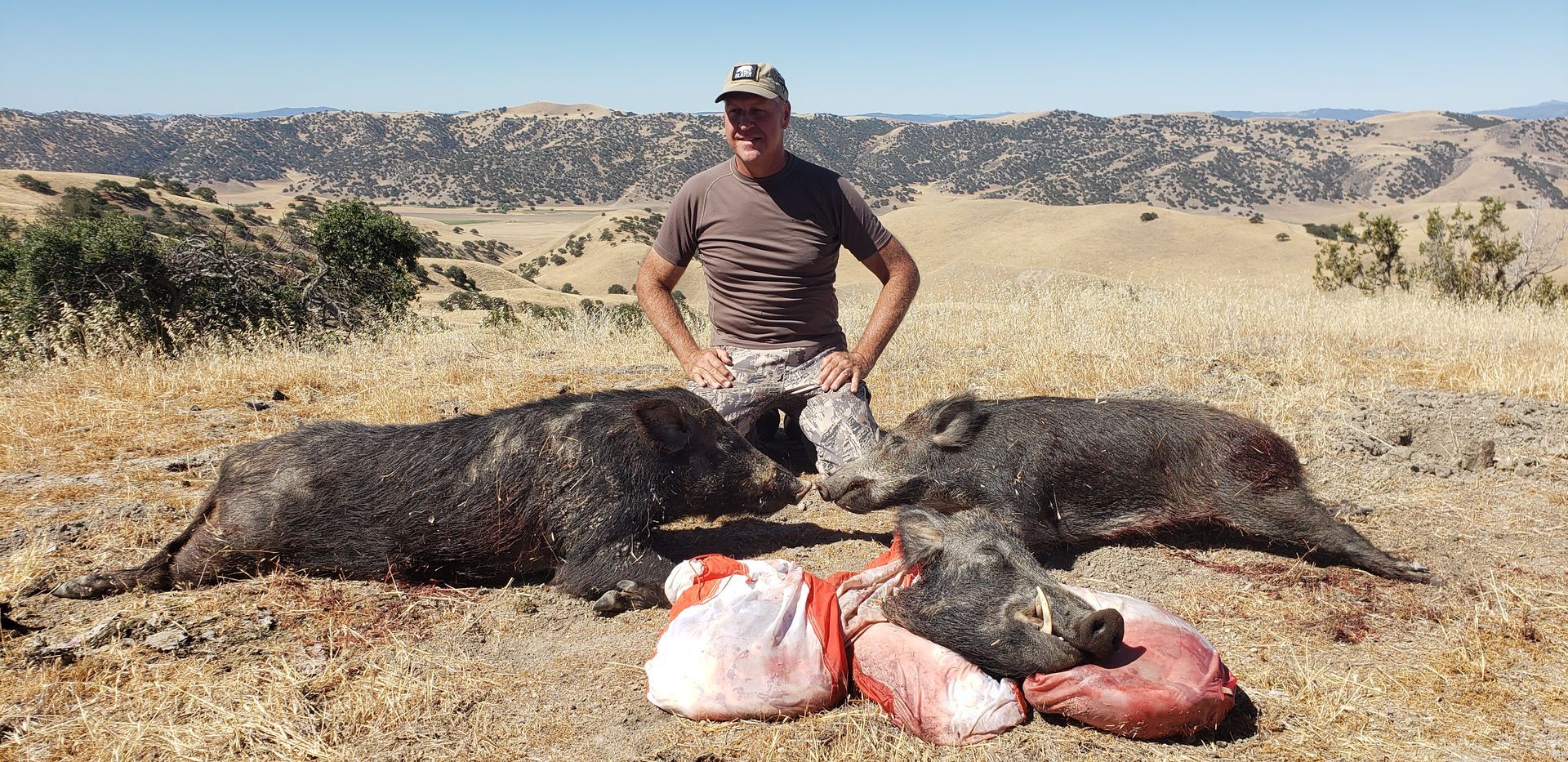 Person standing behind two wild boars with game meat in a dry, rocky field