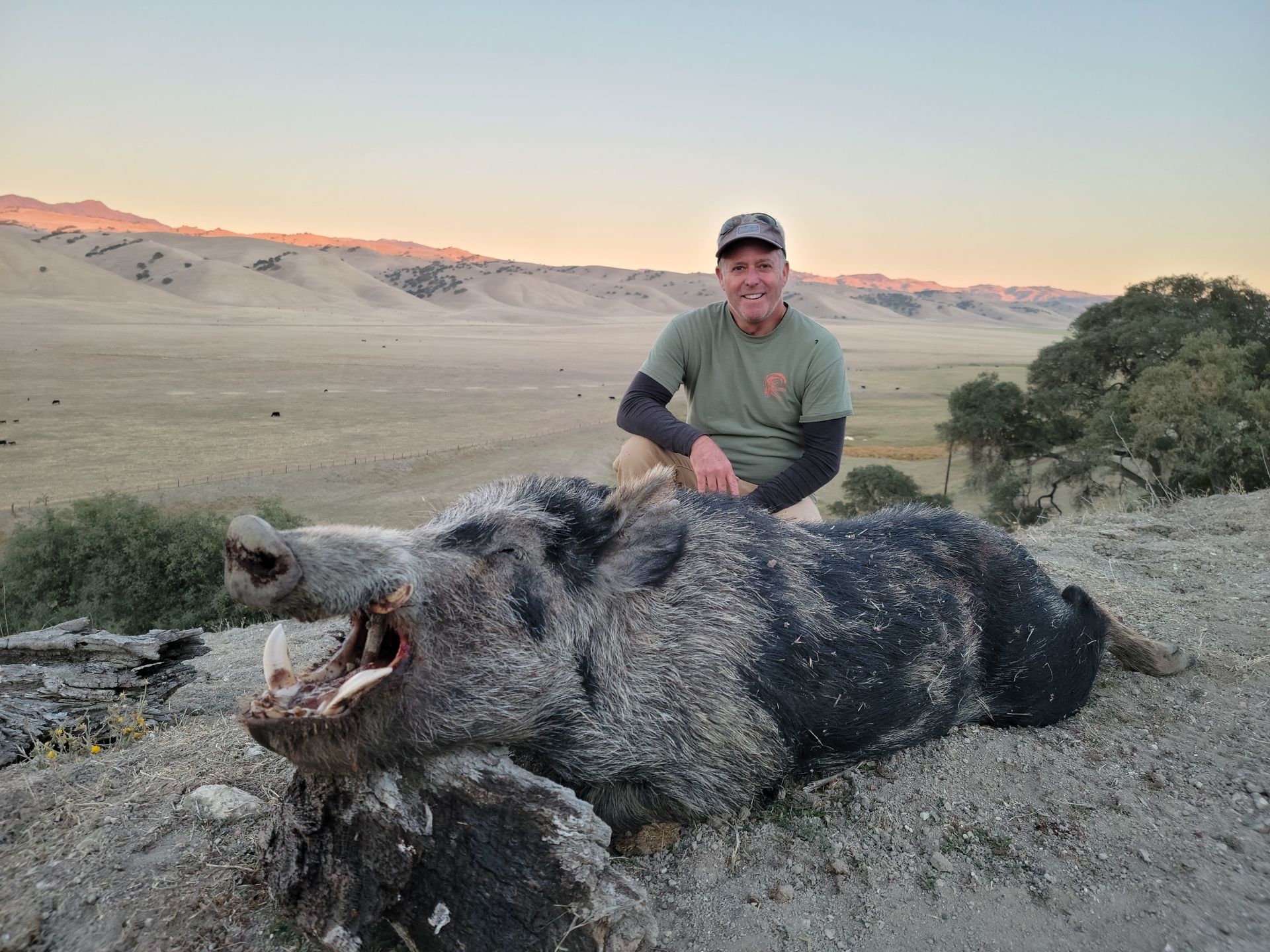 Hunter kneels behind a large wild boar on a grassy hillside at sunset.