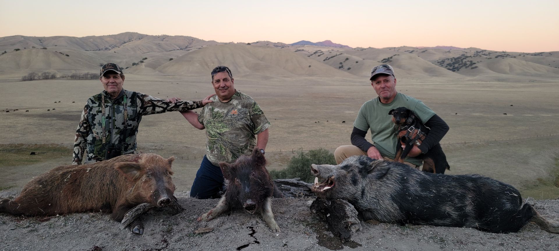 Three hunters kneel behind two wild boars in a desert landscape at sunset.