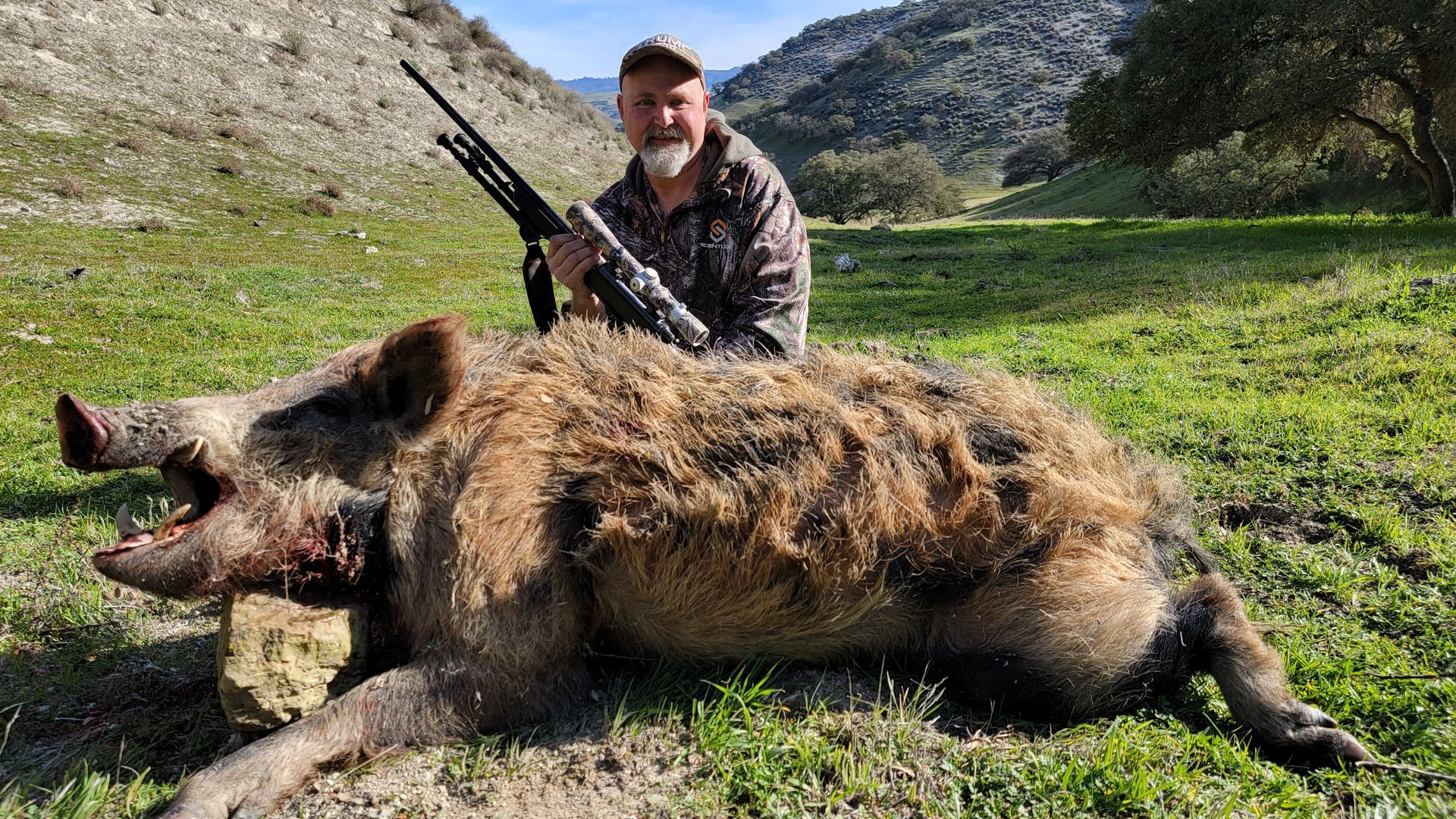 Hunter kneels behind a large wild boar in a grassy mountain field, rifle resting nearby.