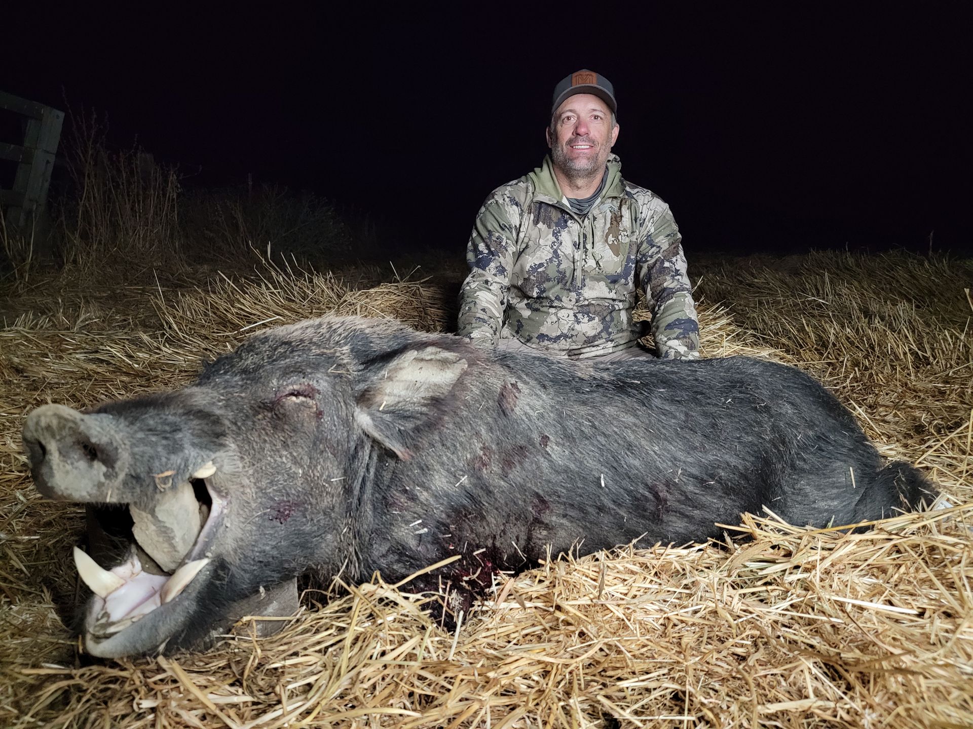 Hunter kneels behind a dead wild boar at night in a field of straw.