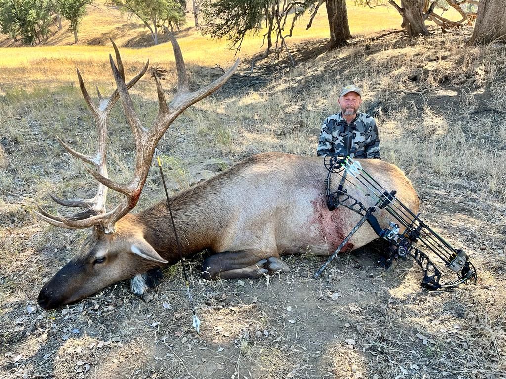 Hunter posing beside a downed elk in a dry wooded area with antlers and a bow on the ground