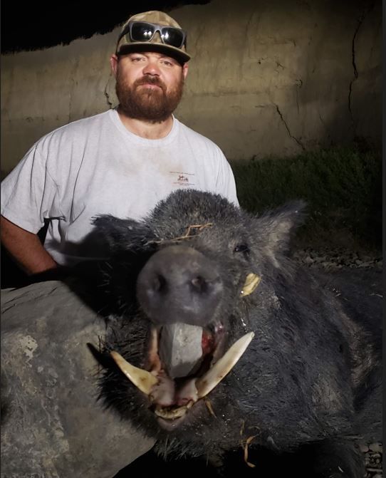 Bearded man in cap posing with a dead wild boar with tusks at night