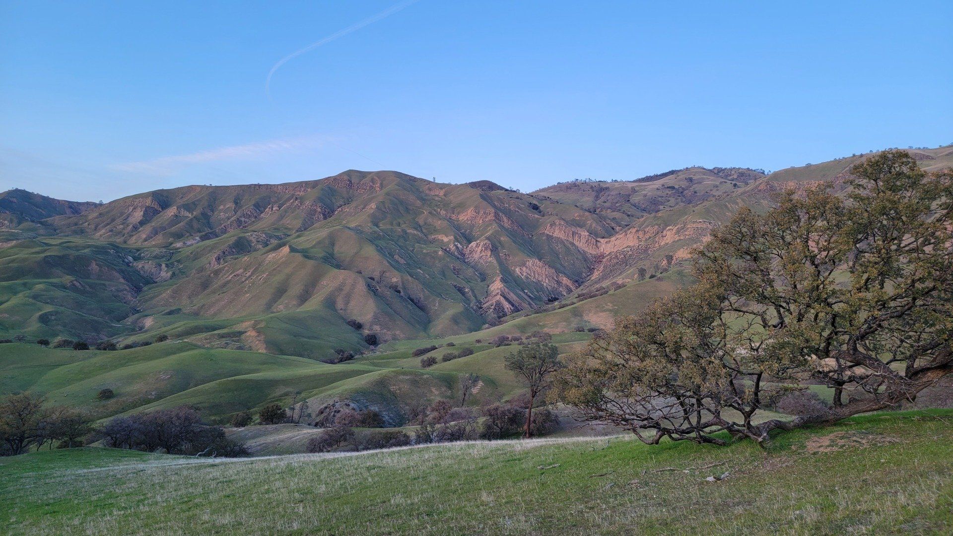Rolling green hills and a tree-dotted valley beneath rugged brown mountains under a clear sky