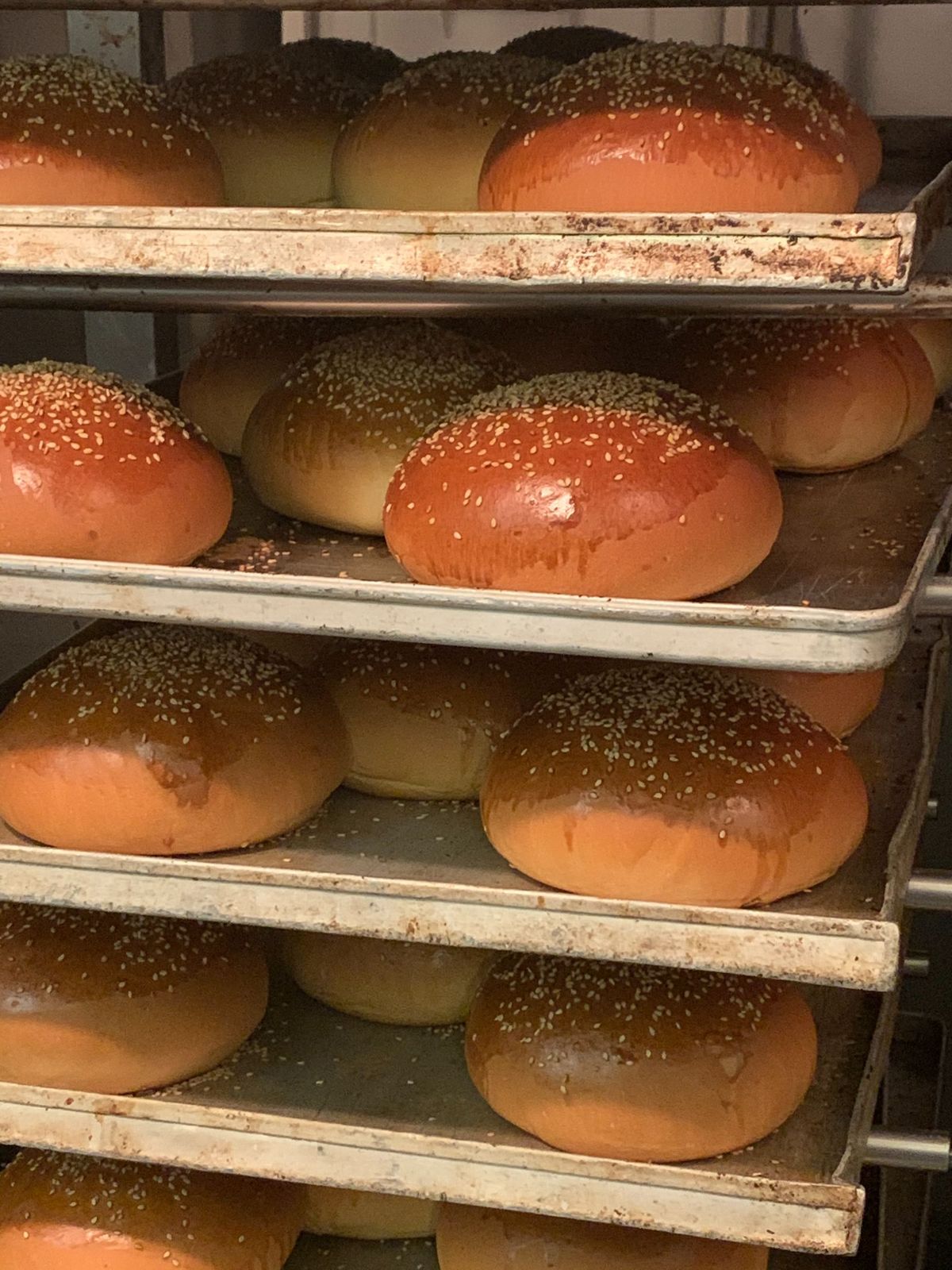 In un panificio, vassoi di panini dorati con semi di sesamo si raffreddano su griglie metalliche.