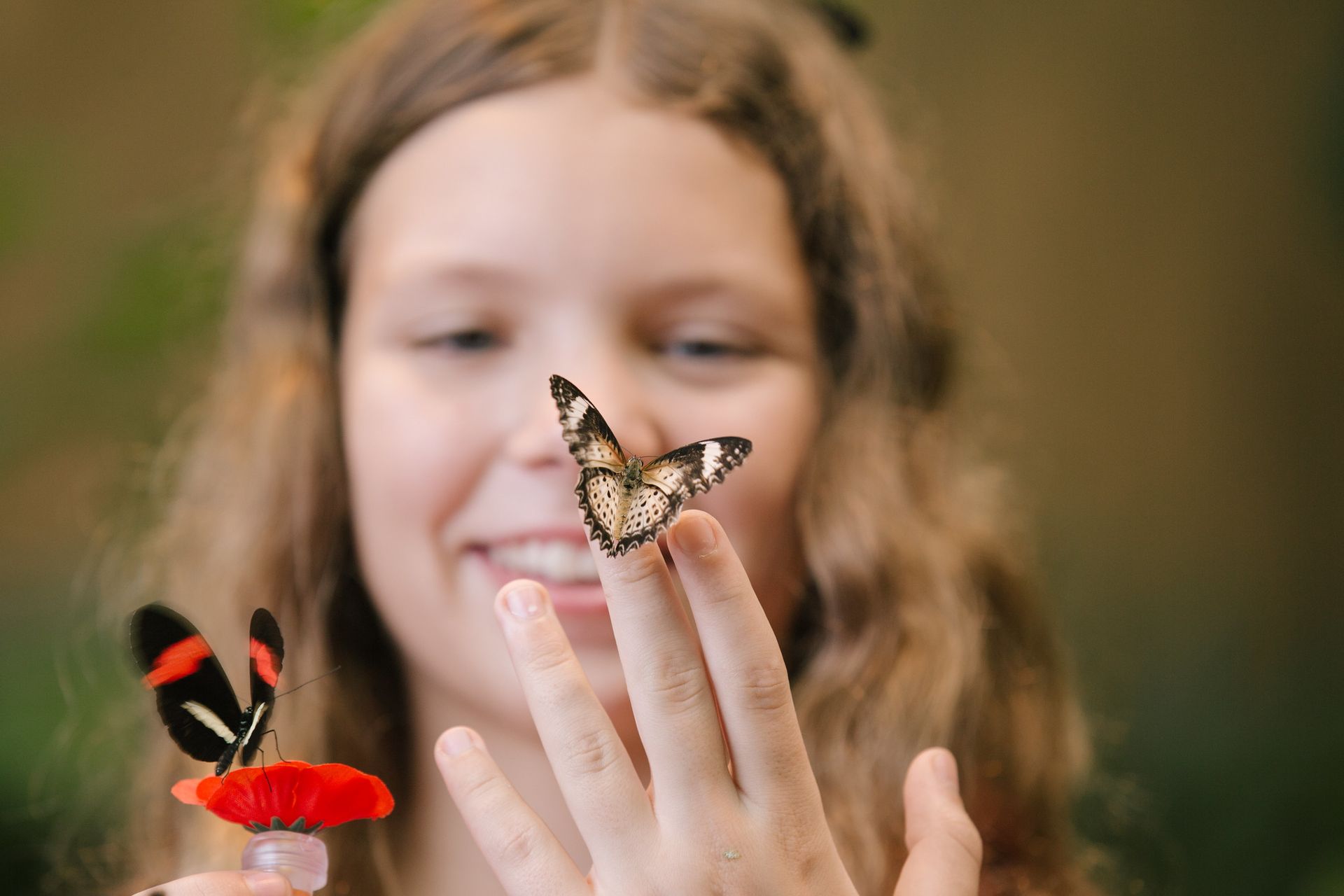 A Heartwarming Thanksgiving in Branson Celebrate Gratitude and Gatherings