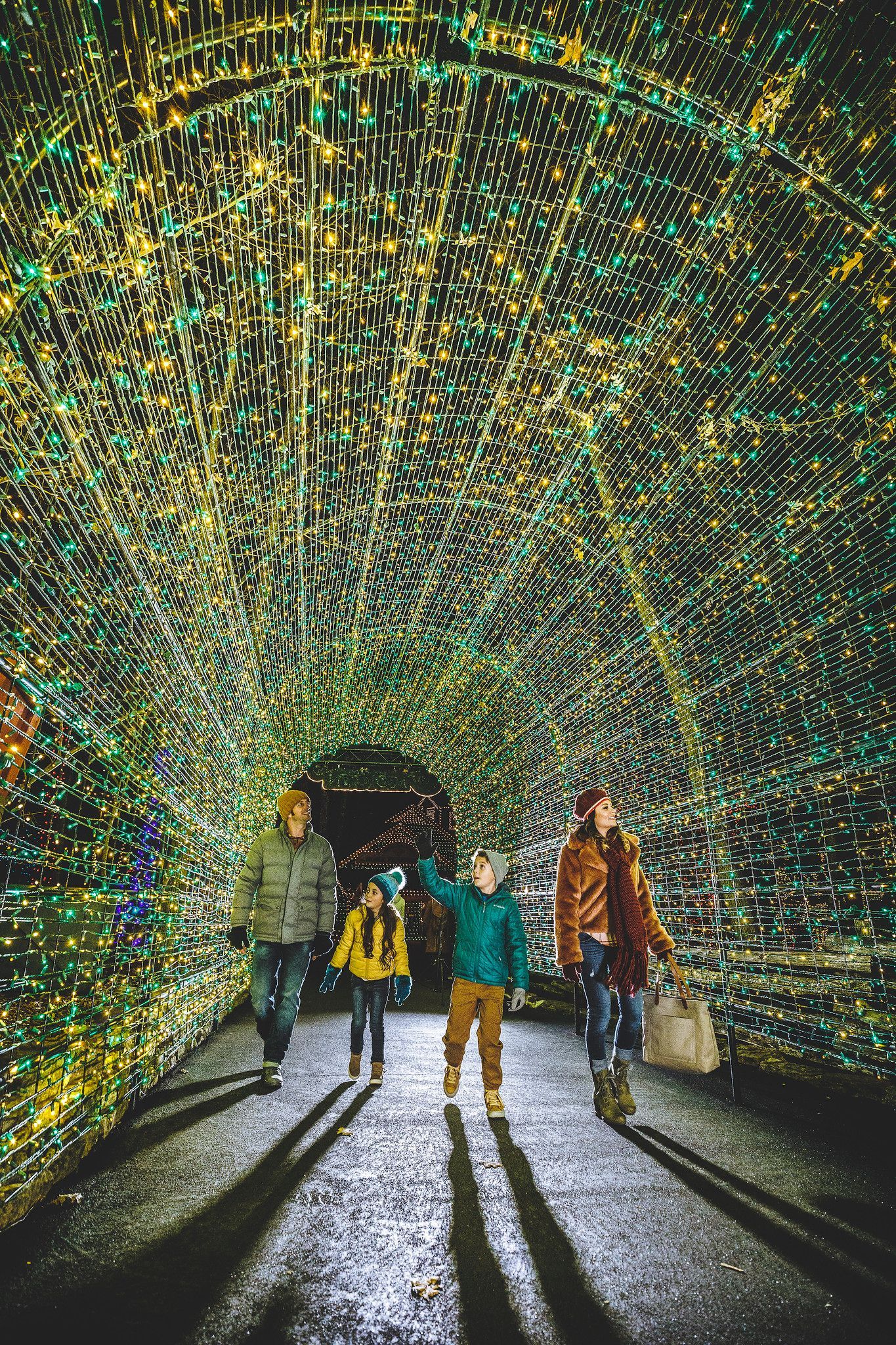 christmas lights