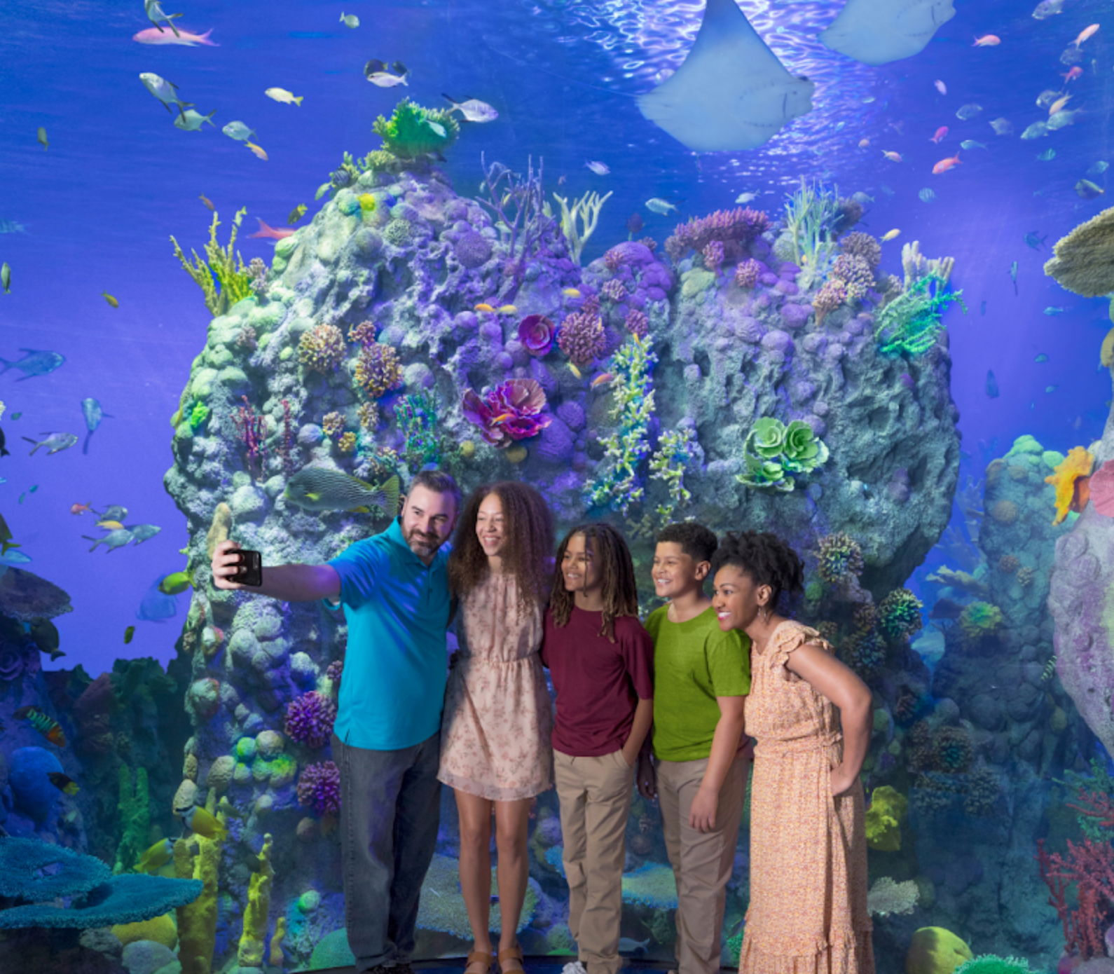 aquarium