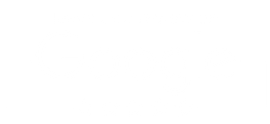 leave us a google review