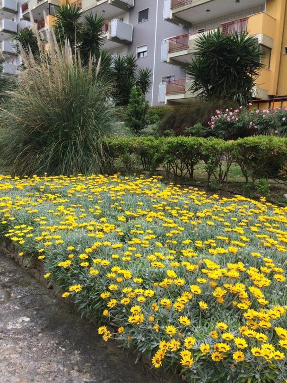 manutenzione aiuole