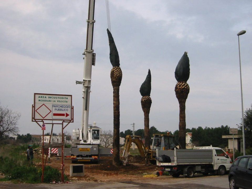 manutenzione alberi