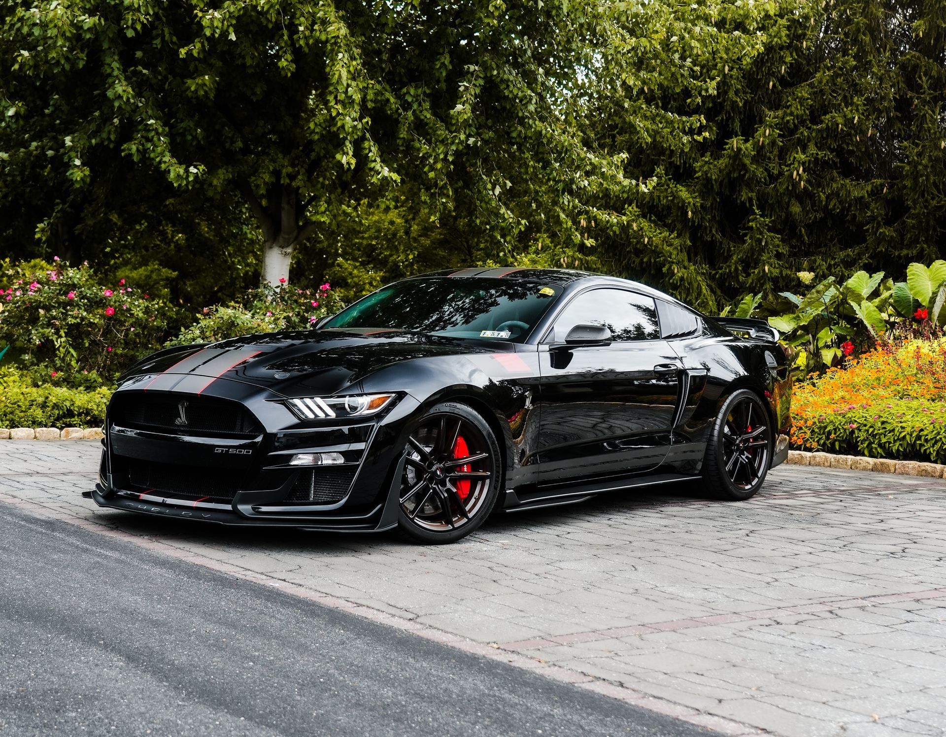 Black Ford Mustang Shelby GT500 with red brake calipers parked near greenery.