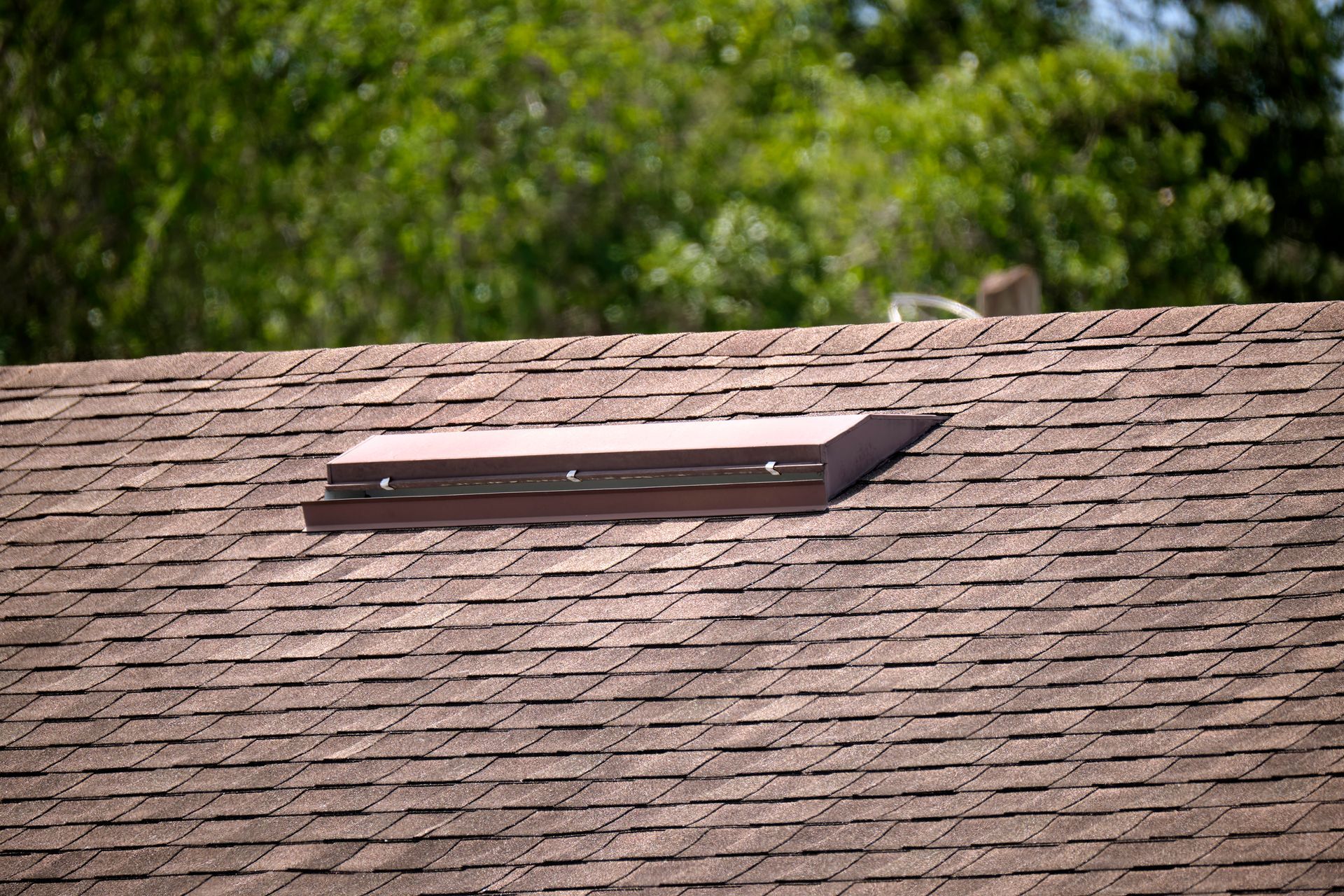 Roof with a small rectangular skylight amid brown shingles and green trees in the background