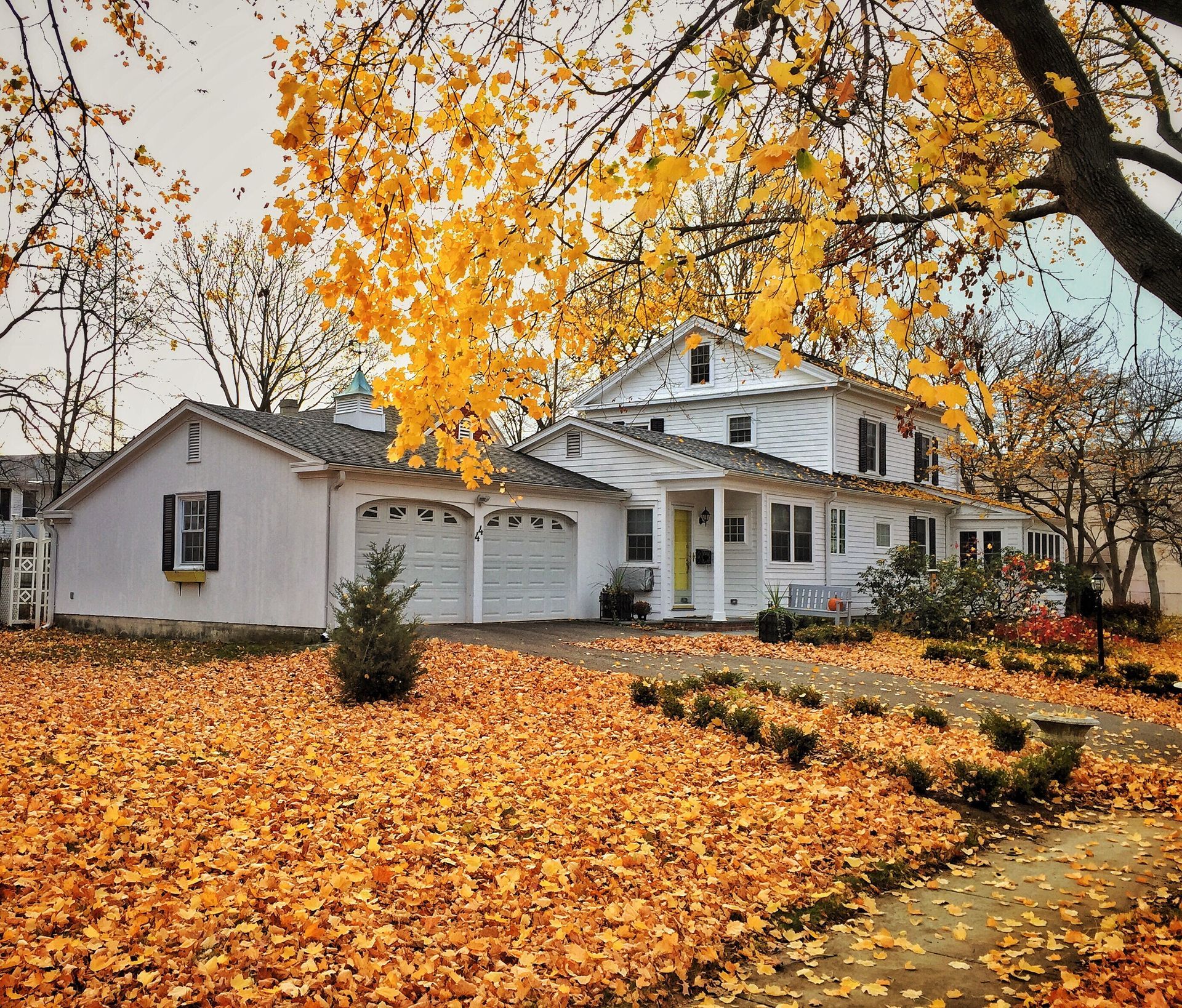 White house with autumn trees and fallen orange leaves covering the lawn and driveway