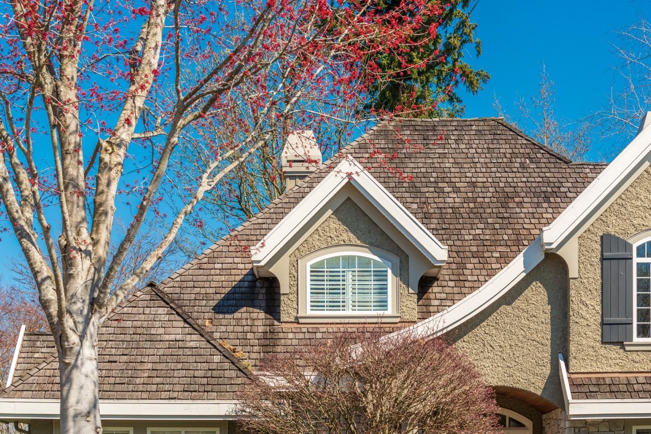 Suburban house with shingled roof, dormer windows, and a tree with red leaves under a blue sky