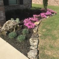 A landscape bed with pink azaleas, ornamental grasses, and a large rock, bordered by stones against a brick house.