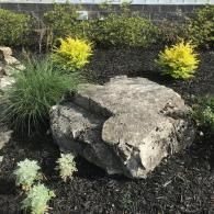 A large gray decorative rock surrounded by green shrubs, small plants, and dark mulch in a garden landscape.