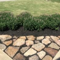 A stone pathway leads to a garden bed filled with green shrubs and dark mulch, set against a green lawn.