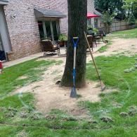 A blue shovel and a rake stand against a tree in a residential yard, inside a white-chalk circle drawn on the grass.