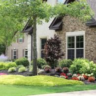 A house with stone and light siding, featuring a lush front garden with green shrubs, flowers, and a large tree.
