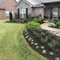A freshly mulched front flower bed with small green plants along the edge leads to a stone walkway and brick house.