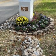A white mailbox post surrounded by rocks and autumn flowers like yellow mums, situated at the edge of a paved road.