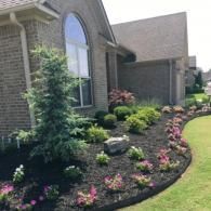 A landscaped garden bed with mulch, small shrubs, and pink flowers against a brick house with a tall arched window.
