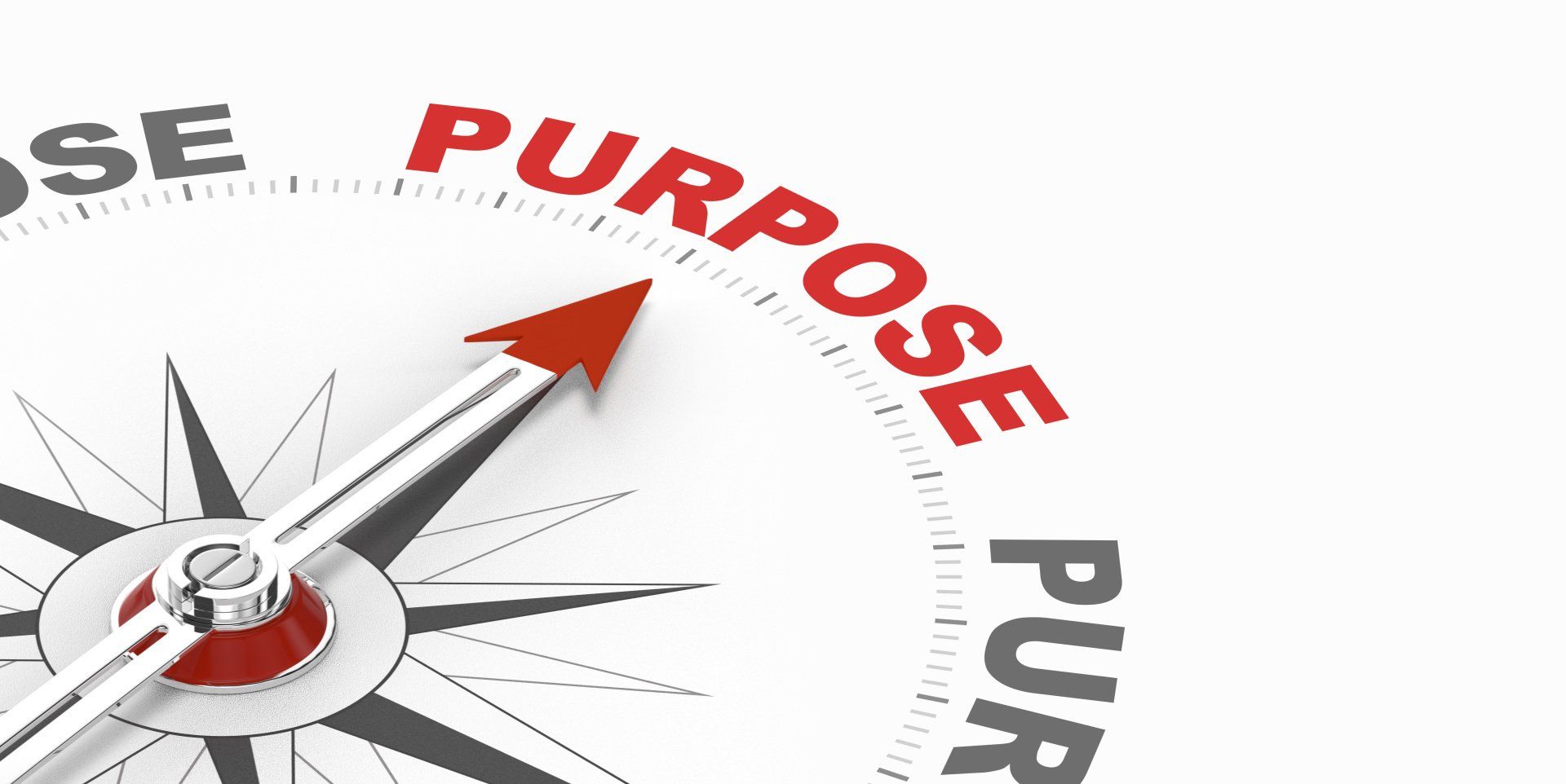 Purpose Ziele