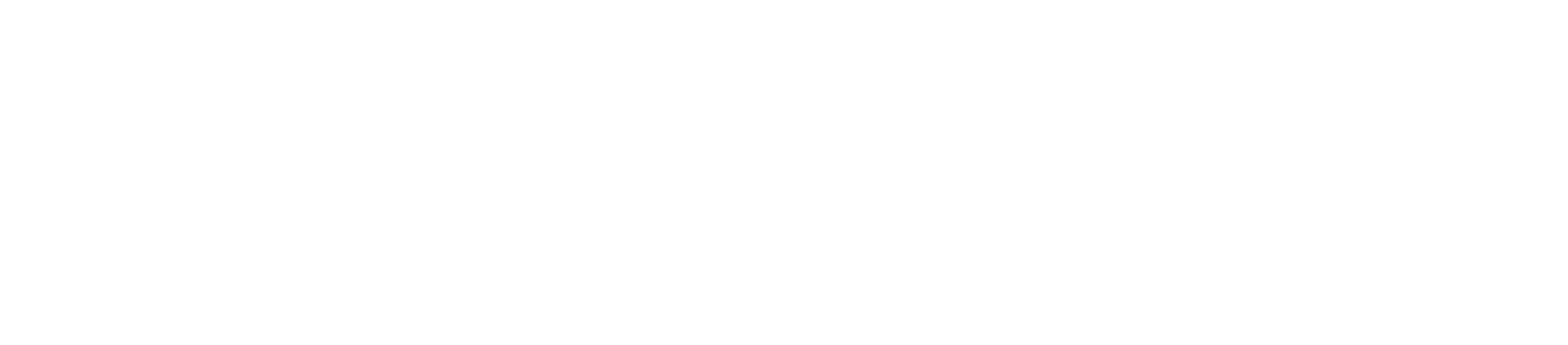 Logo Expat Austria