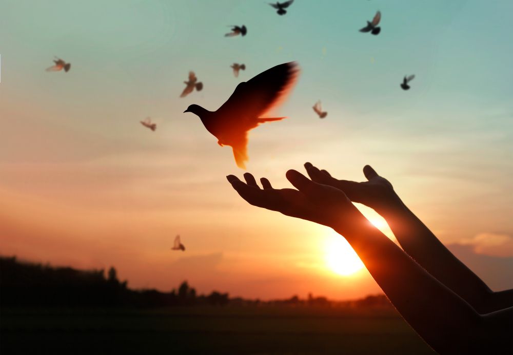 Doves being set free— Territory Funerals In Yarrawonga, NT
