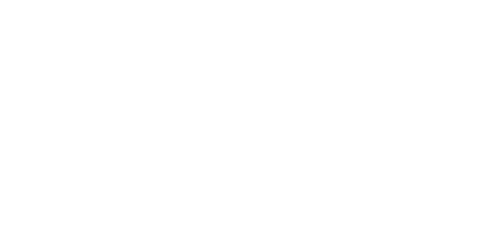 Dussan 30