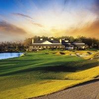 Golf Schools