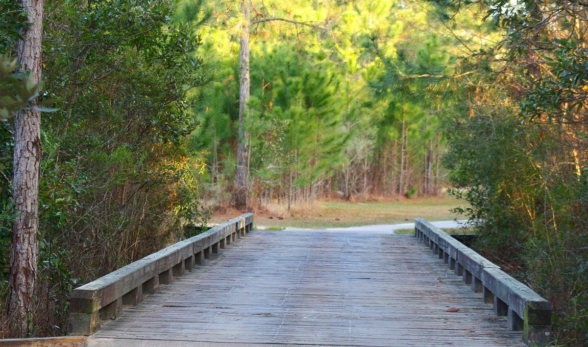 Biloxi Golf Schools