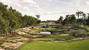 Tampa Golf 