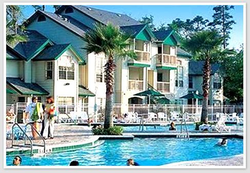 Florida Golf Schools