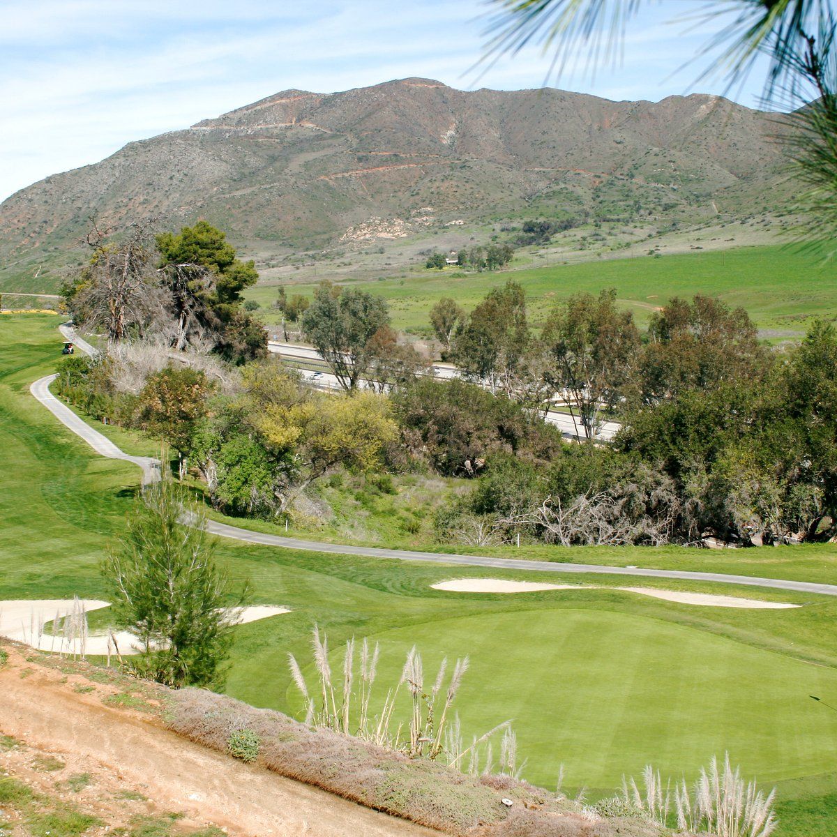 California Golf Schools