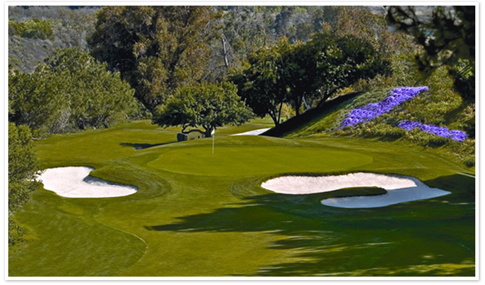 California Golf Schools