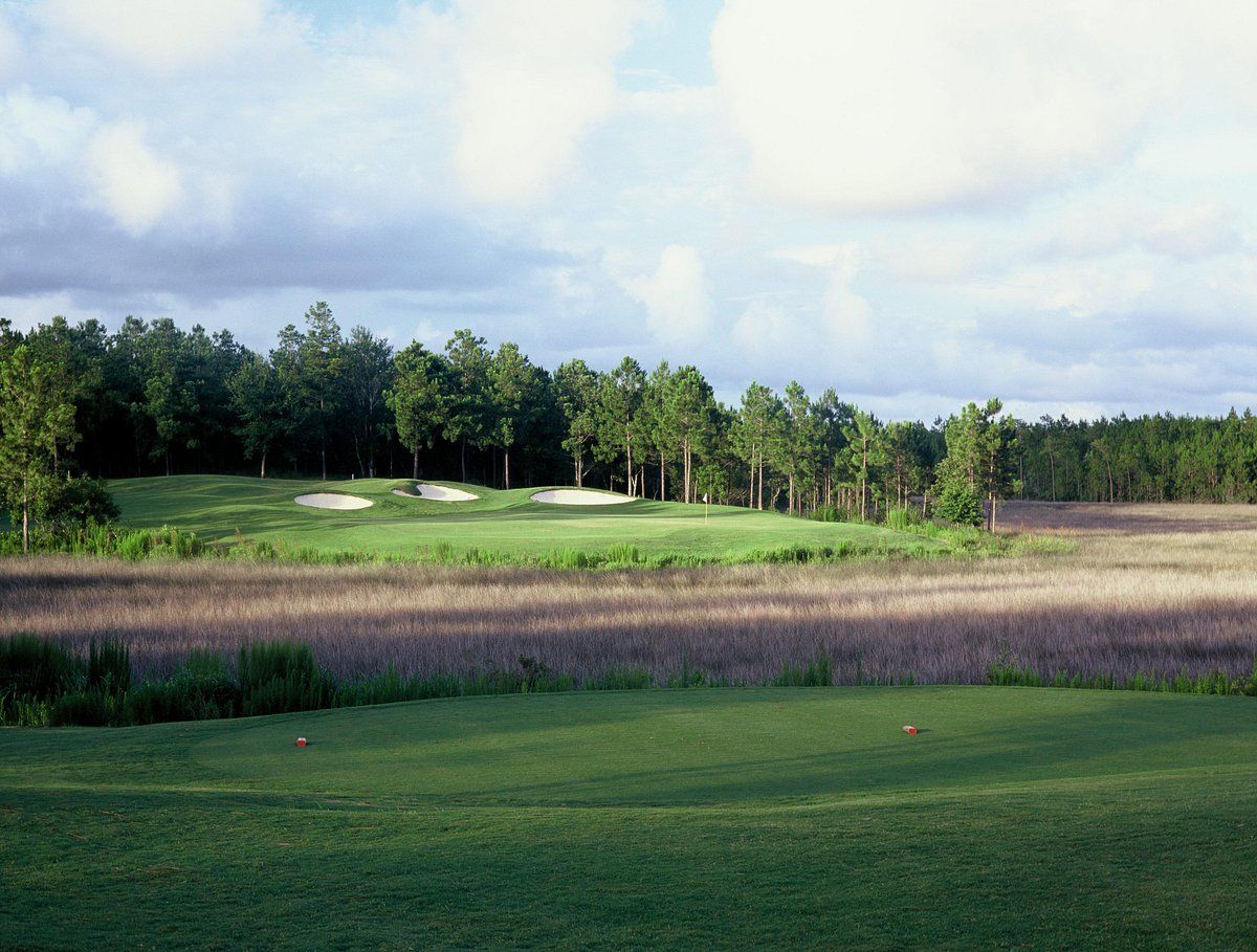 Best Golf Schools