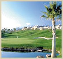 Las Vegas Golf Schools