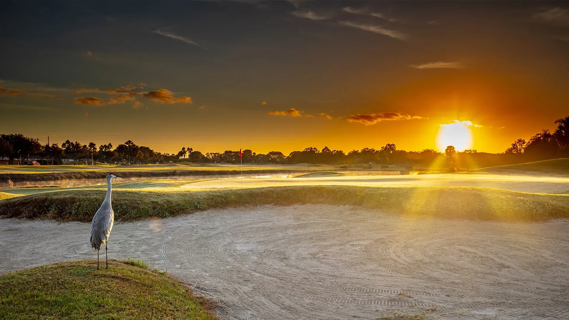 Orlando Golf Schools