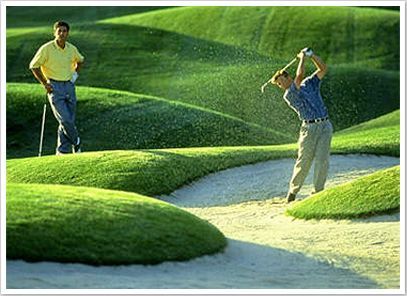 Florida Golf Schools