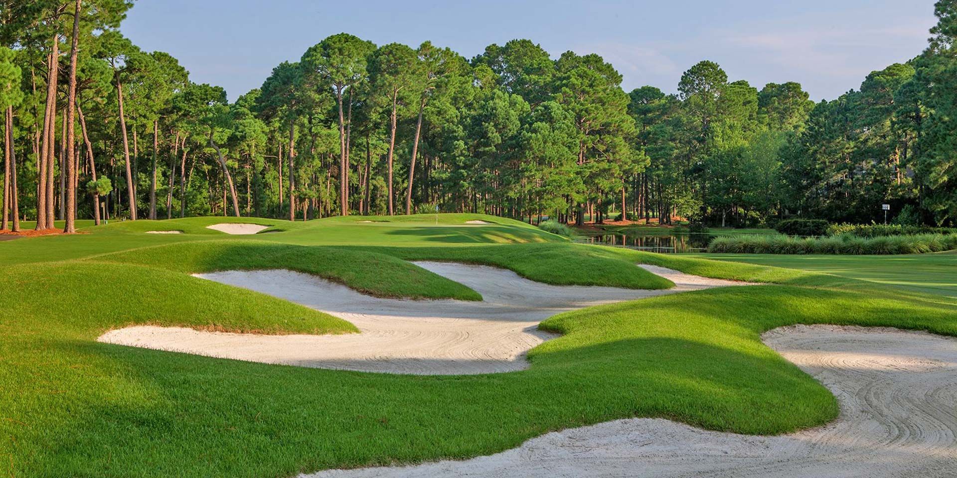 Hilton Head Golf Schools