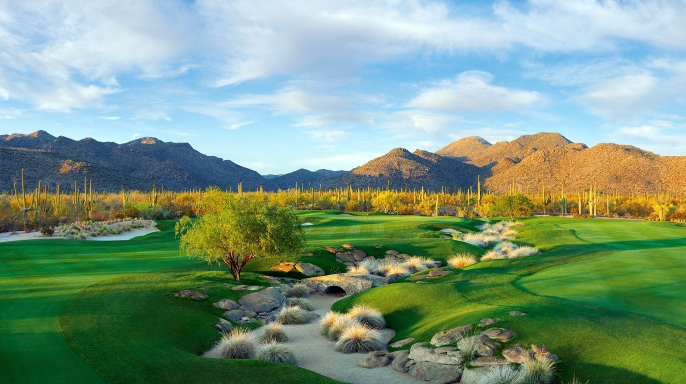 Best Golf Schools