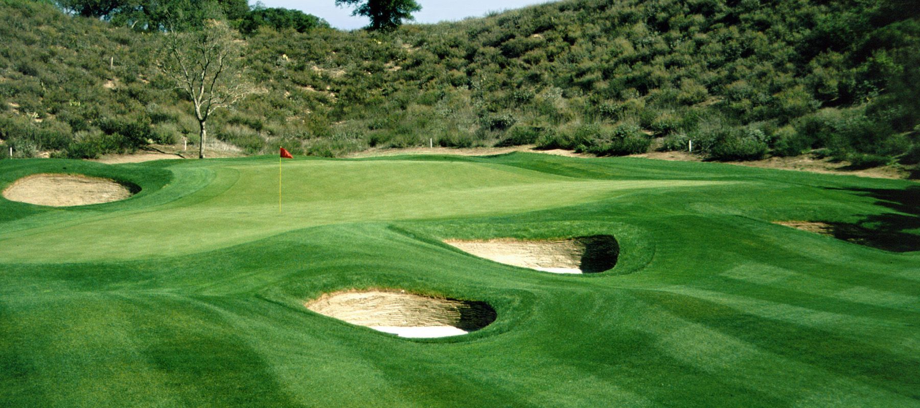 California Golf Schools