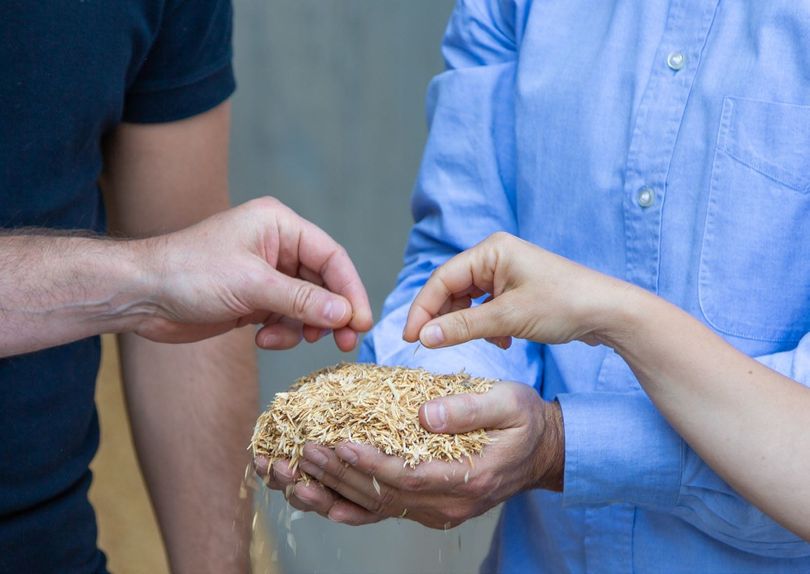 Materie prime di BK RICE: lolla di riso, canapulo e cemento naturale